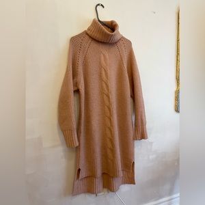 Pink Sweater Dress Standard